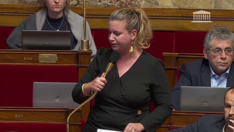 Mathilde Panot accuse la majorité d’essayer « d’intimider » les Insoumis après l’exclusion de Thomas Portes