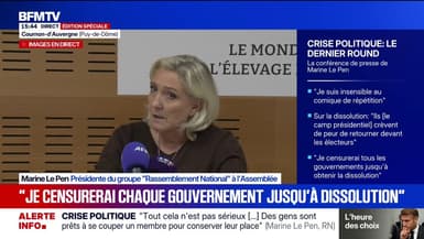 Crise politique: "Je censurerai tous les gouvernements jusqu'à obtenir la dissolution", assure Marine Le Pen