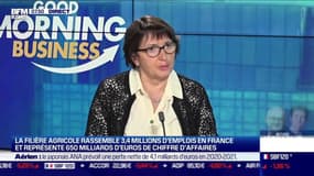 Christiane Lambert (FNSEA) : Nouvelle politique agricole commune, ce qui va changer pour l'agriculture française - 27/10