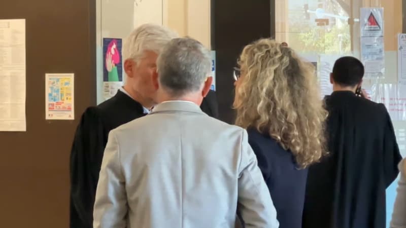 La Seyne-sur-Mer: une peine d'inéligibilité avec exécution provisoire requise contre la maire Nathalie Bicais
