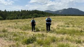 Les fêtards ont nettoyé les traces de leur passage au Grand bois de Ribeyret.