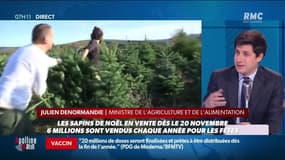 Sur RMC, Julien Denormandie affirme qu'il sera "possible d'acheter des sapins à Noël"