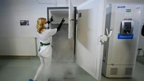 Congélateurs pour conserver les vaccins à l'Institut Cantacuzene à Bucarest le 18 décembre 2020
