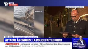 Londres: l'attaque qui a fait plusieurs blessés considérée comme terroriste