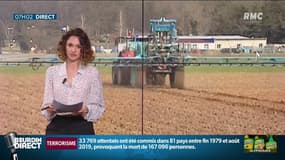 Un rapport pointe le coût élevé de la suppression du glyphosate: "On a été entendu", se félicite un agriculteur