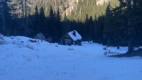 Le parc animalier Alpha a pu ouvrir ses portes avant Noël.