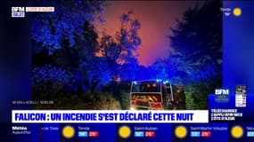 Alpes-Maritimes: un feu à Falicon, plus d'une centaine de pompiers restent sur place