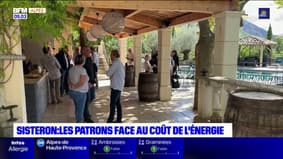 Alpes-de-Haute-Provence: les patrons face au coût de l'énergie