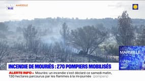 Incendie à Mouriès: le feu fixé, 270 pompiers mobilisés