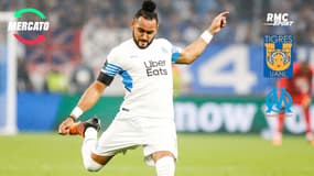 Mercato / OM : Gignac, Thauvin... Comment les Tigres de Monterrey voudraient attirer Payet