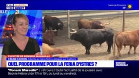 Bouches-du-Rhône: l'adjointe au maire d'Istres déléguée aux traditions Céline Camoin dévoile le programme de la Feria d'Istres