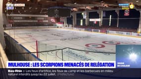 Hockey: le maintien des Scorpions de Mulhouse en Ligue Magnus menacé