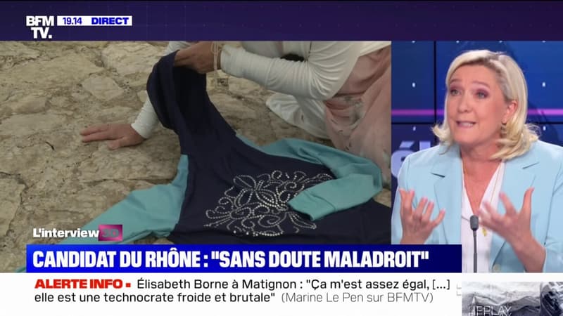Candidate RN désinvestie après des messages racistes: Marine Le Pen reconnaît 