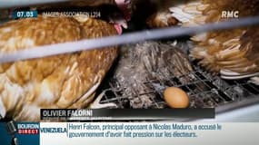 Poules pondeuses en batterie: "J'en appelle à ce que la parole du Président soit tenue"