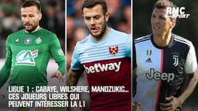 Ligue 1 : Cabaye, Wilshere, Mandzukic... Ces joueurs libres qui peuvent intéresser la L1