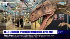 Lille: le musée d'Histoire Naturelle fête ses 200 ans