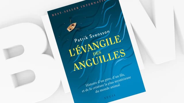 "L'Evangile des anguilles" de Patrik Svensson.