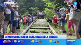 L'été chez nous: à la découverte du schlittage dans la forêt de La Bresse