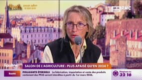 Loi d'orientation agricole: "Qu'apporte cette loi à nos jeunes qui voudraient s'installer?"
