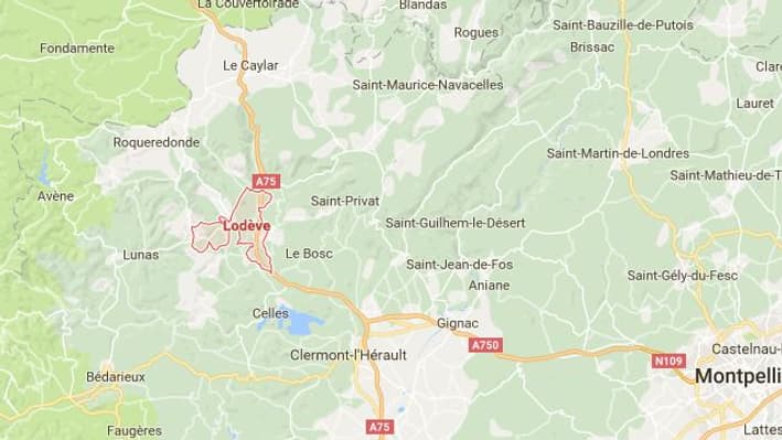 carte carte