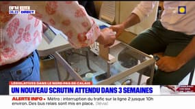 Législatives dans le Nord-Pas-de-Calais: un nouveau scrutin attendu dans trois semaines