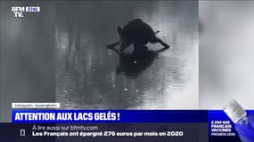 Un sanglier dérape sur un lac gelé en Allemagne