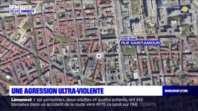Lyon: une violente agression, un jeune homme entre la vie et la mort