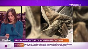 Depuis la rentrée, l'appartement de Clémentine est extrêmement humide