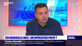 Provence-Alpes-Côte-d'Azur: la privatisation du TER Marseille-Nice va-t-elle profiter aux usagers?