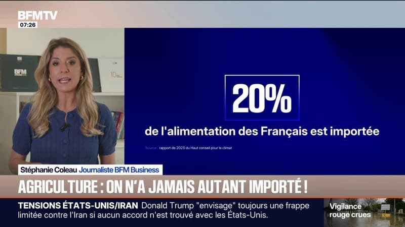 Viande, crustacés, vin, fruits et légumes... Environ 20% de l'alimentation des Français est importée