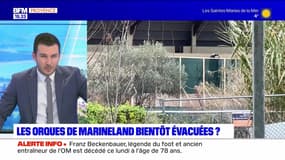 JT du Sud du lundi 8 janvier