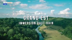 Grand-Est : immersion Haut-Rhin