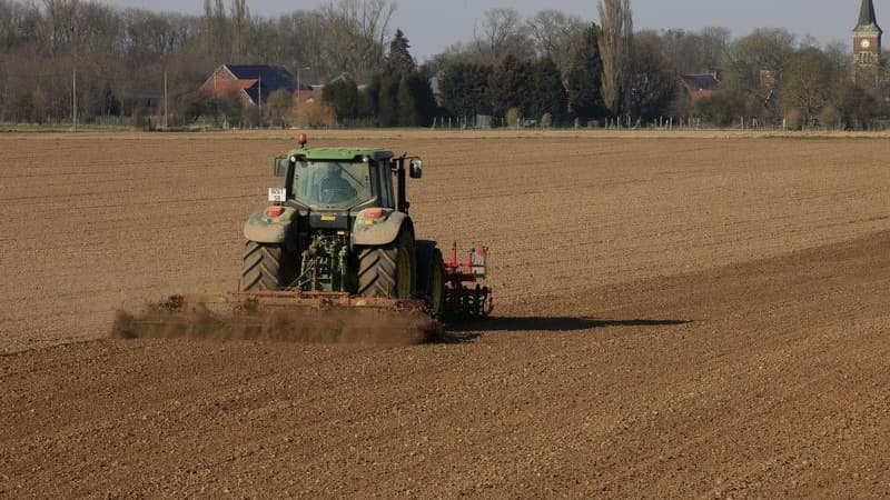 Les "lignes rouges" françaises en matière d'agriculture et d'alimentation ont été prises en compte dans l'accord conclu entre les Vingt-Sept sur le mandat des négociations de libre-échange avec les Etats-Unis, a annoncé samedi le ministre de l'Agriculture