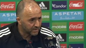 "On n'a pas de terrain en Algérie", la colère de Belmadi