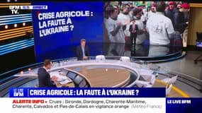 LES ÉCLAIREURS - Crise agricole: la faute à l'Ukraine?