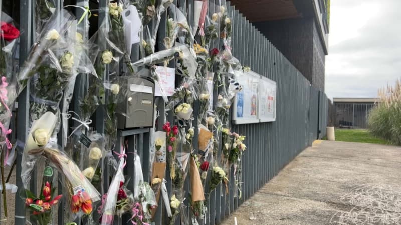 "On est tous énervés, tous malheureux": émotion et solidarité à Mitry-Mory avant la marche blanche pour Camélia