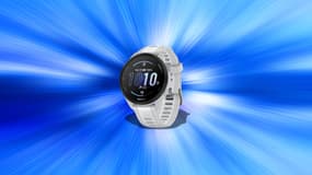 Offre Garmin 165