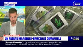 Trafic de drogue: un réseau entre Bruxelles et Marseille démantelé par la police belge