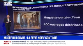 LES ÉCLAIREURS - Musée du Louvre: la série noire continue