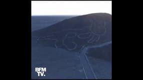 Pérou: découverte d'un géoglyphe de chat vieux de 2 000 ans