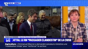 "Entendre dire que le RN est le passager clandestin, c'est ne rien comprendre à la colère des agriculteurs": Pascale Bordes, députée RN, réagit aux propos de Gabriel Attal