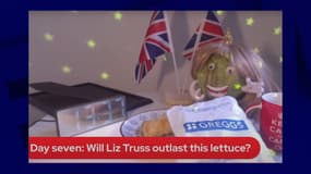 La victoire par K.O. d'une laitue face à Liz Truss sur la vidéo mise en ligne par le Daily Star. 