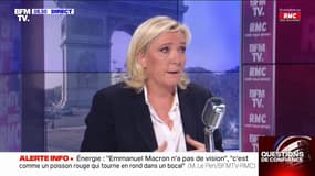 Présidentielle: Marine Le Pen "ne souhaite pas" évoquer le second tour avant le vote des Français