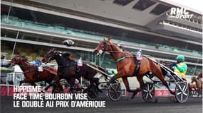 Hippisme : Face Time Bourbon vise le doublé au Prix d’Amérique