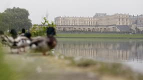 Un homme s'est donné la mort dans le grand canal du château de Versailles (photo d'illustration).