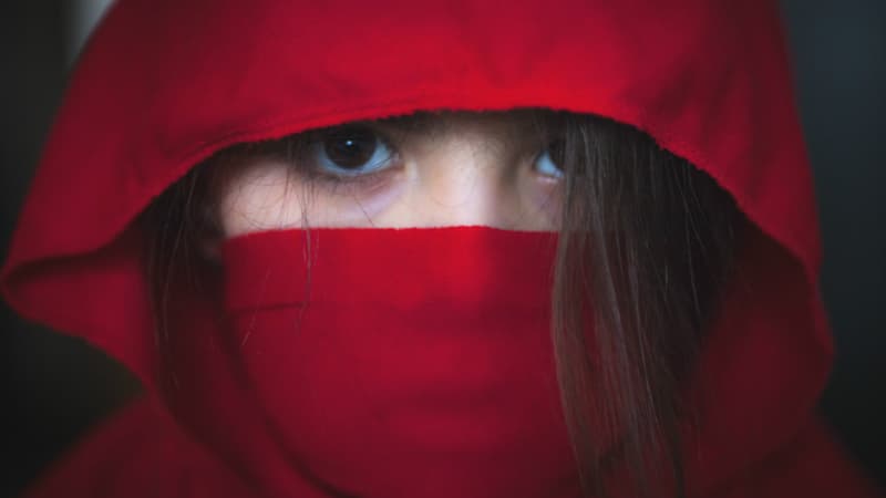 Le château de Nagoya, qui avait lancé une offre d'emploi pour embaucher des ninjas, a reçu 235 candidatures.