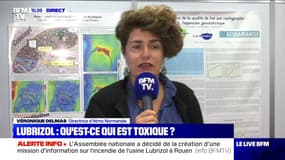 Lubrizol: qu'est-ce qui est toxique ? (2/2) - 02/10