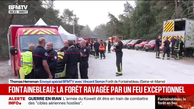 Fontainebleau: 400 pompiers mobilisés, deux Dash, deux hélicoptères... L'énorme dispositif pour lutter contre le feu