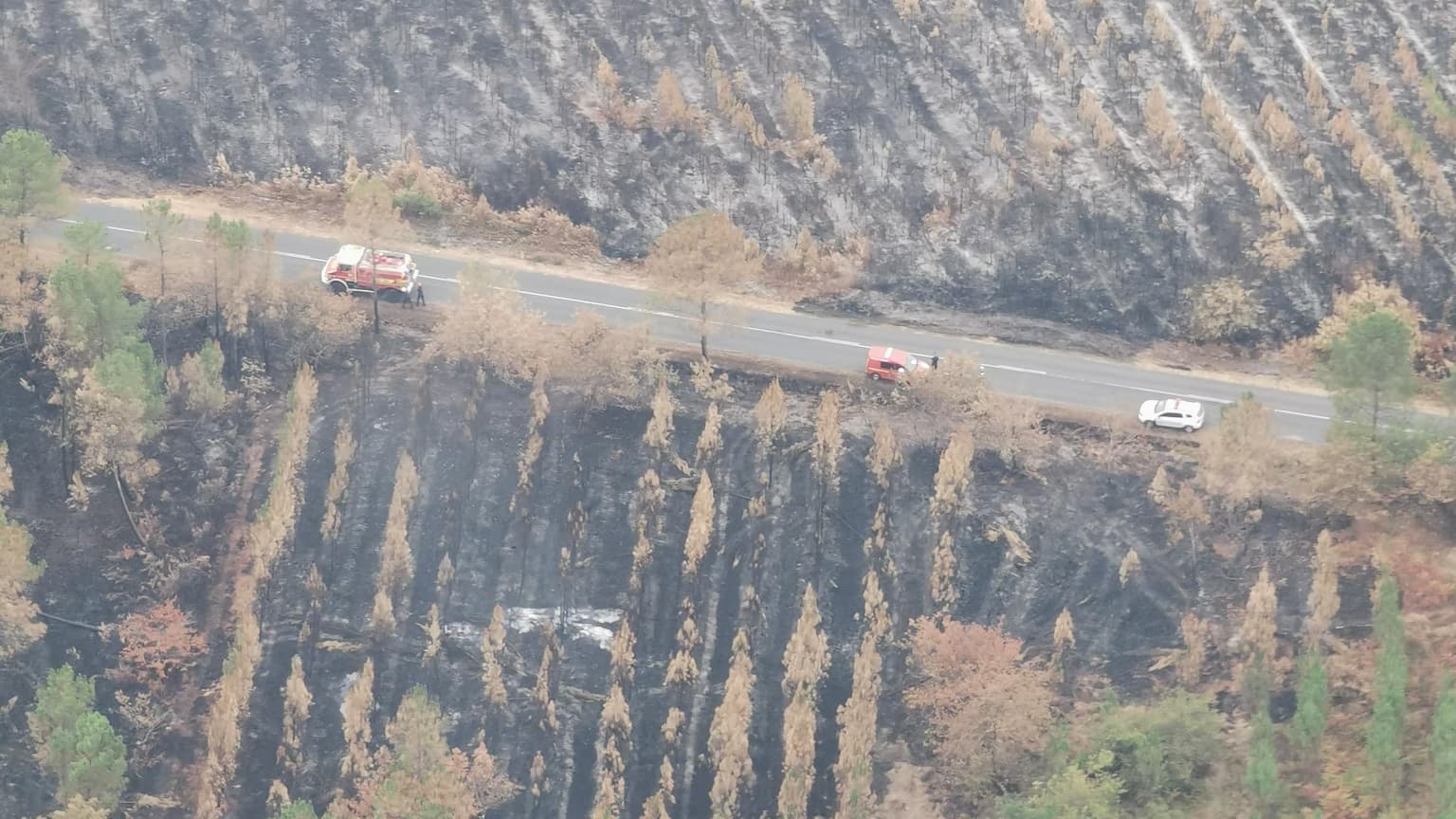 Vue aérienne des dégâts des incendies en Gironde, le 16 août 2022. Vue aérienne des dégâts des incendies en Gironde, le 16 août 2022.