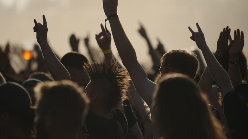 Des mains tendues et doigts écartés au bas de la scène du festival Hellfest, en 2014.